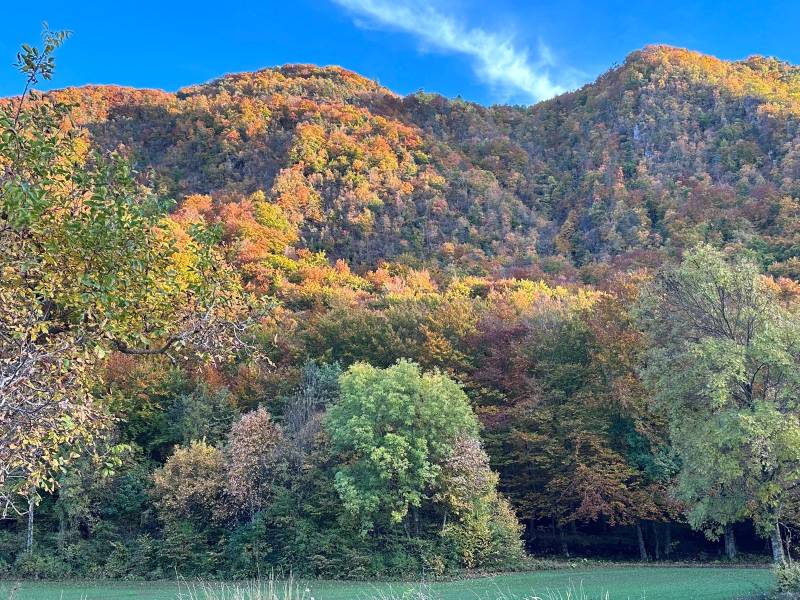 Découvrez la région de Turriers : nature, aventures et détente